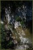 DSC07857