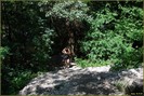 DSC07861