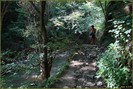DSC07868