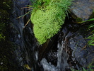 DSC00298