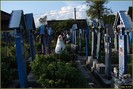 DSC07121
