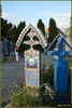 DSC07147