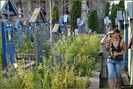 DSC07170