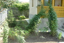 P1060171
