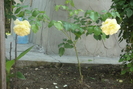 P1060172