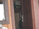 in cabina de proba