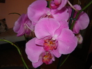 DSC03183