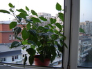 DSC03172