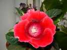DSC03173