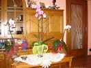 DSC03177