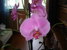 DSC03181