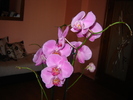 DSC03182