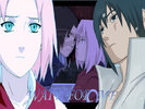 Sasuke_y_Sakura_