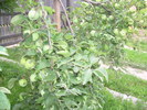 DSCN4377