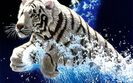 tigri-la-joaca-1440x900[1]