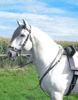 images[6]