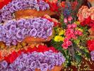 Rose_Parade_4