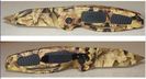 SMITH & Wesson