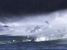 bottlenose-dolphins-surf_3594_600x450