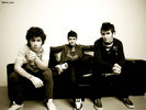 j-bros-the-jonas-brothers-758485_1024_768