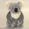 national-geographic-koala-mediu-22lei