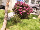 P3010010