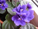 DSC04947