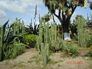 Poza Mexic22