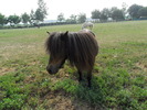 SAM_0384