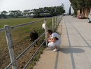 SAM_0385
