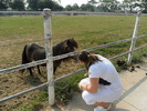 SAM_0386