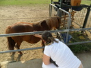 SAM_0388