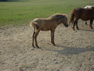 SAM_0392