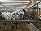 SAM_0395
