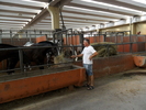 SAM_0399