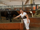 SAM_0400