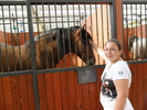 SAM_0403