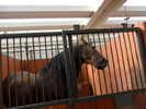 SAM_0404