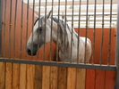 SAM_0405