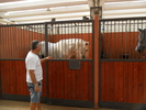 SAM_0407