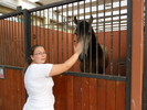 SAM_0415