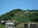 SAM_0494