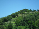 SAM_0495