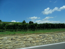 SAM_0497