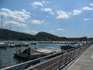 SAM_0502