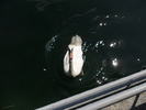 SAM_0503