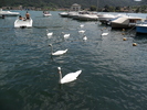SAM_0504