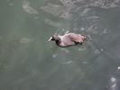 SAM_0506