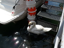 SAM_0508