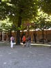 SAM_0636